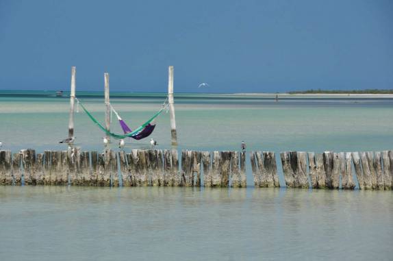 Que lugar para armar a rede! (ilha de Holbox, no norte do Yucatán, no México)